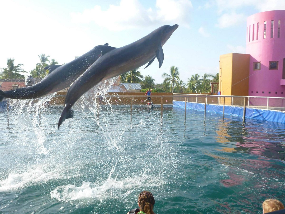 Actividades Hotel Irma